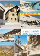 LOT DE 2 CPSM DE SAINT DALMAS LE SELVAGE - Other & Unclassified