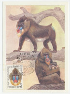 Maximum Card Soviet Union 1984 Monkey - Mandrill Baboon - Autres & Non Classés