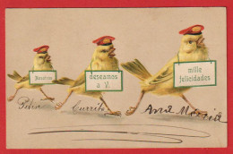 AE672 FANTAISIES OISEAUX CANARIS HUMANISES POSTE COURRIER EXPRESS CARTE GAUFREE - Gekleidete Tiere