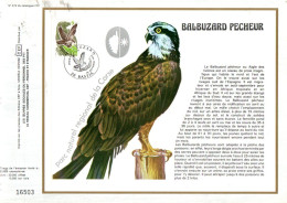 DOCUMENT FDC 1978 BALBUZARD PECHEUR - 1970-1979