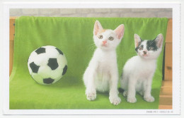 Postal Stationery China 2000 Cats - Football - Other & Unclassified