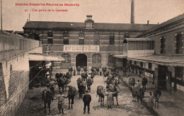 Grandes Brasseries Réunies De Maxéville (Nancy, 54) Les Ecuries: Une Partie De La Cavalerie - Carte N° 31 Non Circulée - Maxeville