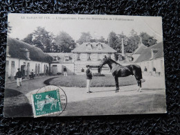 Le Haras Du Pin, L'Hippodrome, L'une Des Succursales De L'établissement   (B21) - Chevaux