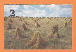 1993 Lithuania> Calendar "National Insurance",26524 - Grossformat : 1991-00