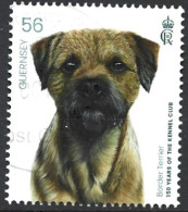 Guernsey 2023. Scott #1710 (U) Kennel Club, 150th Anniv. Dog Breed, Border Terrier - Guernsey