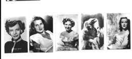 Z635 - BRENDA MARSHALL - HELENA CARTER - SIGNE HASSO - KAY BROWN - JUNE ALLYSON - Foto