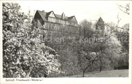 72093579 Friedewald Westerwald Schloss Baumbluete Friedewald Westerwald - Autres & Non Classés