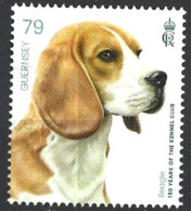 Guernsey 2023. Scott #1710 (U) Kennel Club, 150th Anniv. Dog Breed, Beagle - Guernesey