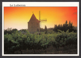 091099/ LUBERON, Vignoble Et Moulin à Vent - Sonstige & Ohne Zuordnung