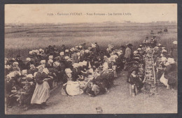 118277/ AURAY (environs), Noce Bretonne, Les Invités à Table - Auray