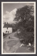 101501/ AURAY, Paysage Alréen - Auray