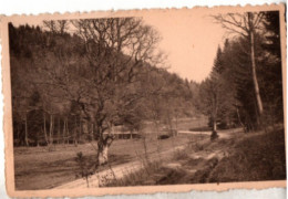 Lavacherie Sur Ourthe , Vallée Du Bazeille - Sainte-Ode