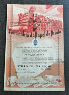 Action Companhia De Papel Do Prado Industrie Papier Portugal 1956 Stock Certificate Paper Industry - Industrial