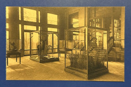 879 BELGIQUE BELGIUM BÉLGICA ANVERS JARDÍN ZOOLÓGICO ZOO RARE POSTCARD - Antwerpen