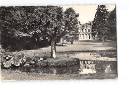 GOMMEGNIES - Le Château - Très Bon état - Other & Unclassified