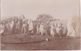 Photo De Particulier Circa 1900 Tunisie Tunis La Manouba Une Caravane Mariage ? Réf 30812 - Afrika