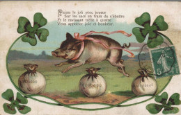 COCHON PORTE BONHEUR  CPA BON ETAT - Cochons