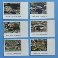 CAMBODGE / CAMBODIA/ Cambodian Reptiles 2020. - Cambodja