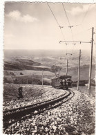 64. PAYS BASQUE . CPA. LA RHUNE. LA MONTEE DU CHEMIN DE FER A CREMAILLERE ET VUE SUR ST JEAN DE LUZ. ANNEES 50 - Other & Unclassified