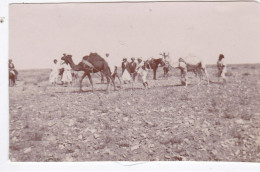Photo De Particulier Circa 1900 Tunisie Environs De Tunis Autochtones  Paysans En Labourage Avec Dromadaires  Réf 30814 - Afrique