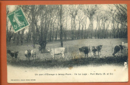 CPA 78 Yvelines - PORT MARLY - île De La Loge - Parc D'élevage à Jersey-Farm - Marly Le Roi