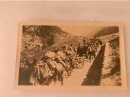 Suisse Chasseurs Alpins Vers 1916 - Oorlog, Militair