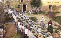 Agriculture - Scene Champetre - Repas De Moisson - Cultivation