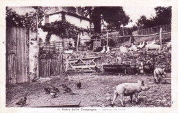 Agriculture -  Notre Belle Campagne - Interieur De Ferme - Boerderijen