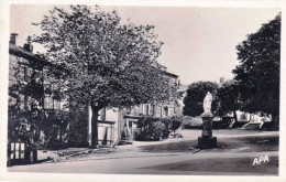 81 - Tarn - LACAUNE  Les BAINS - Place De La Vierge - Other & Unclassified