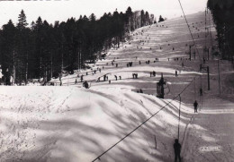 88 - Vosges - LA BRESSE -  Centre De Ski Chitelet - Hohneck - Piste De Vologne - Sonstige & Ohne Zuordnung