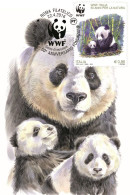 Italia 2016 - 50 Anniversario Della Fondazione Del WWF Carte Maximum - Maximumkarten (MC)