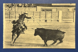 887 BULLFIGHTING REJONEADOR DON ANTONIO CAÑERO RARE POSTCARD - Autres & Non Classés