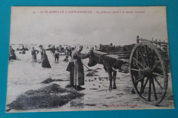 De BLAINVILLE à COUTAINVILLE - La Pêche Au Varech à La Marée Montante ( 50 Manche ) - Blainville Sur Mer