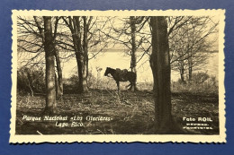 888 ARGENTINA PATAGONIA SANTA CRUZ PARQUE NACIONAL LOS GLACIARES LAGO RICO RARE POSTCARD - América