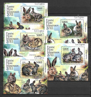 Comores 2011 Animals - Rabbits Set Of 5 MS MNH - Hasen