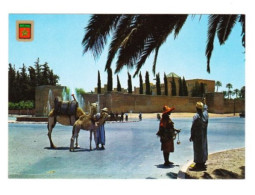 CPM Maroc Marrakech Porte Jdid Et Vendeur D'eau - Marrakech