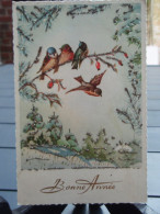 Jolie Cpa Bonne Année Avec Du Relief Oiseaux Sur Une Branche 1957-58 - New Year