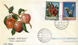 Fdc Roma: FLORA D'ITALIA (1967); Viaggiata; AF_Roma - FDC