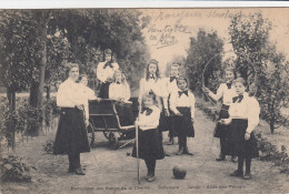 Zaffelare - Saffelaere - Pensionnat Des Soeurs De La Charité - Jardin : Allée Des Po - Lochristi