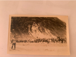 Suisse Chasseurs Alpins Vers 1916 - Guerre, Militaire