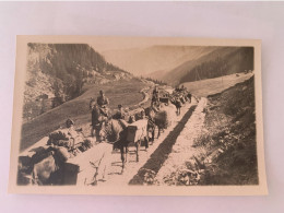 Suisse Chasseurs Alpins Vers 1916 - War, Military