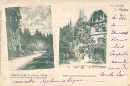 ROUMANIE - SINAIA - Souvenir De Sinaia  - ETAT - Romania