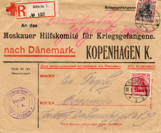 ALLEMAGNE.1917.L.REC."MOSKAUER HILFSKOMITE FUR KRIEGSGEFANGENEN..CENSURE DE DOBELN .CROIX-ROUGE DANOISE. - Lettres & Documents