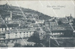 Bg302 Cartolina Caraglio Panorama Provincia Di Cuneo - Cuneo