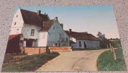 CPA  - STEENKERQUE - Ferme De L'Hosté - (Chez Luc DECLERCK) - NEUVE - Couleur - Braine-le-Comte