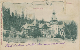 ROUMANIE - SINAIA - Castelul Peles - ETAT - Roumanie