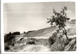 Photographie Photo Vintage Snapshot Amateur Automobile Deux Chevaux Citroën - Automobiles