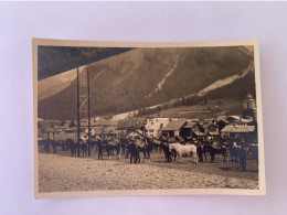 Suisse Chasseurs Alpins Vers 1916 - War, Military