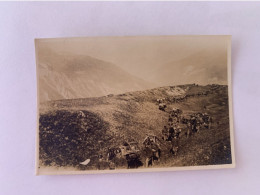 Suisse Chasseurs Alpins Vers 1916 - Guerre, Militaire