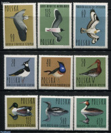 Poland 1964 Birds 9v, Mint NH, Nature - Birds - Ducks - Ongebruikt